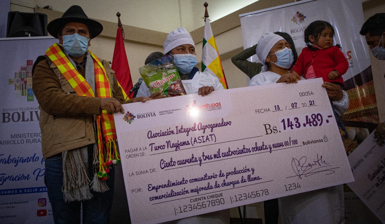 Gobierno destina Bs 7,8 millones para fortalecer la producción en ganado camélido