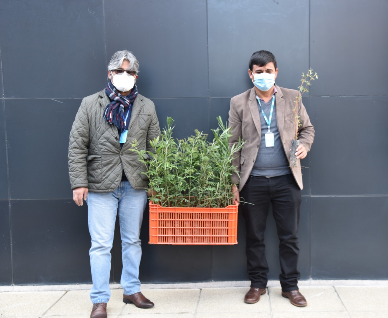 Reforestan los predios de la Procuraduría General del Estado