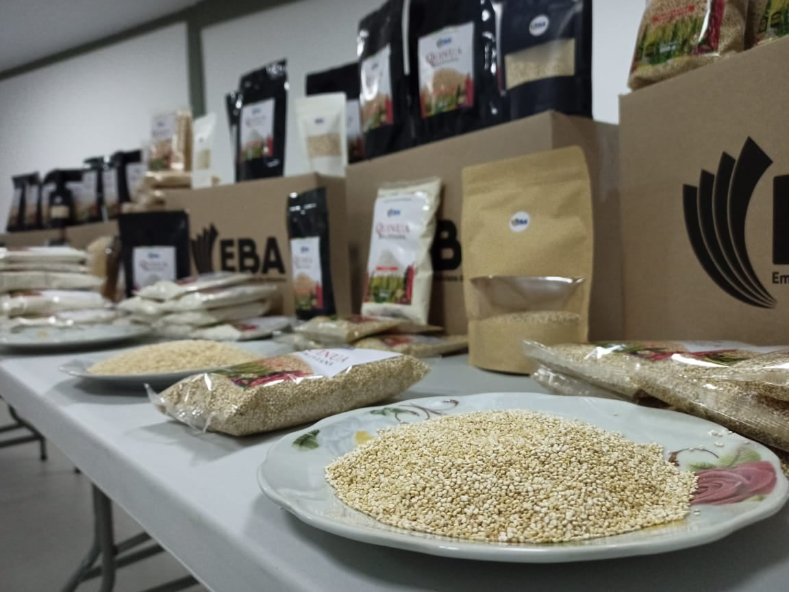 Presidente da inicio a la industrialización de la quinua con la inauguración de procesadora en Oruro (amplia)