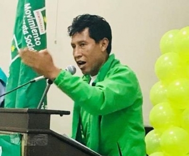 Exsenador demócrata asegura que no hubo sucesión constitucional sino una autoproclamación de Áñez