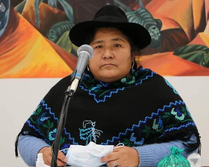 Segundina Flores denuncia que los partidos incumplieron con los criterios de equidad de género y alternancia