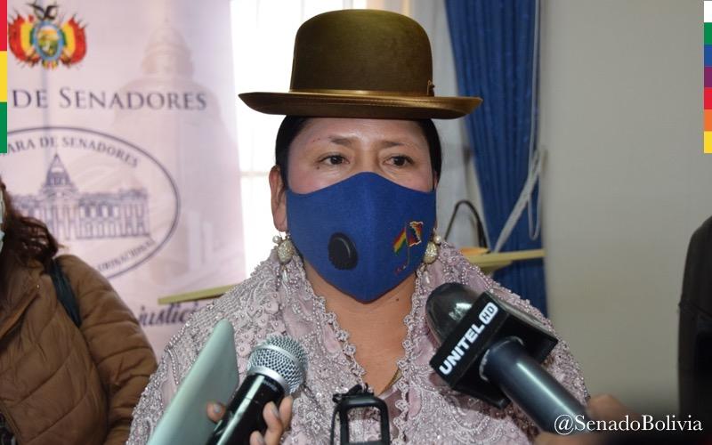 Senadora Velasco pide al GIEI reunirse con ejecutivos de organizaciones sociales que sufrieron violencia y persecución en 2019