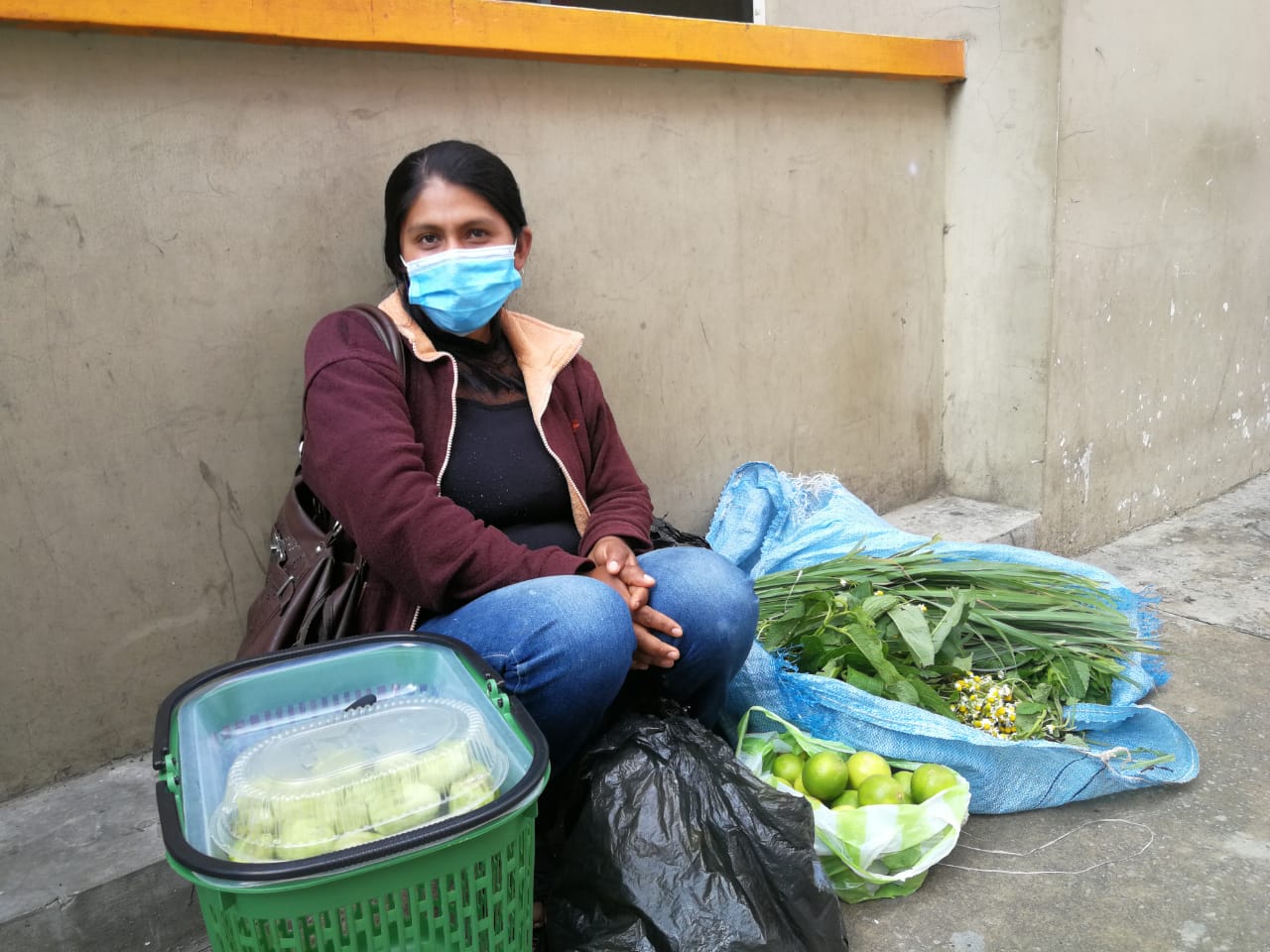 Matico, manzanilla y eucalipto, plantas más requeridas en Tarija para prevenir el COVID