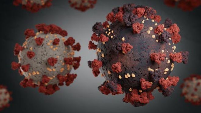 Científicos de la UMSA detectan variante andina del COVID-19 en La Paz