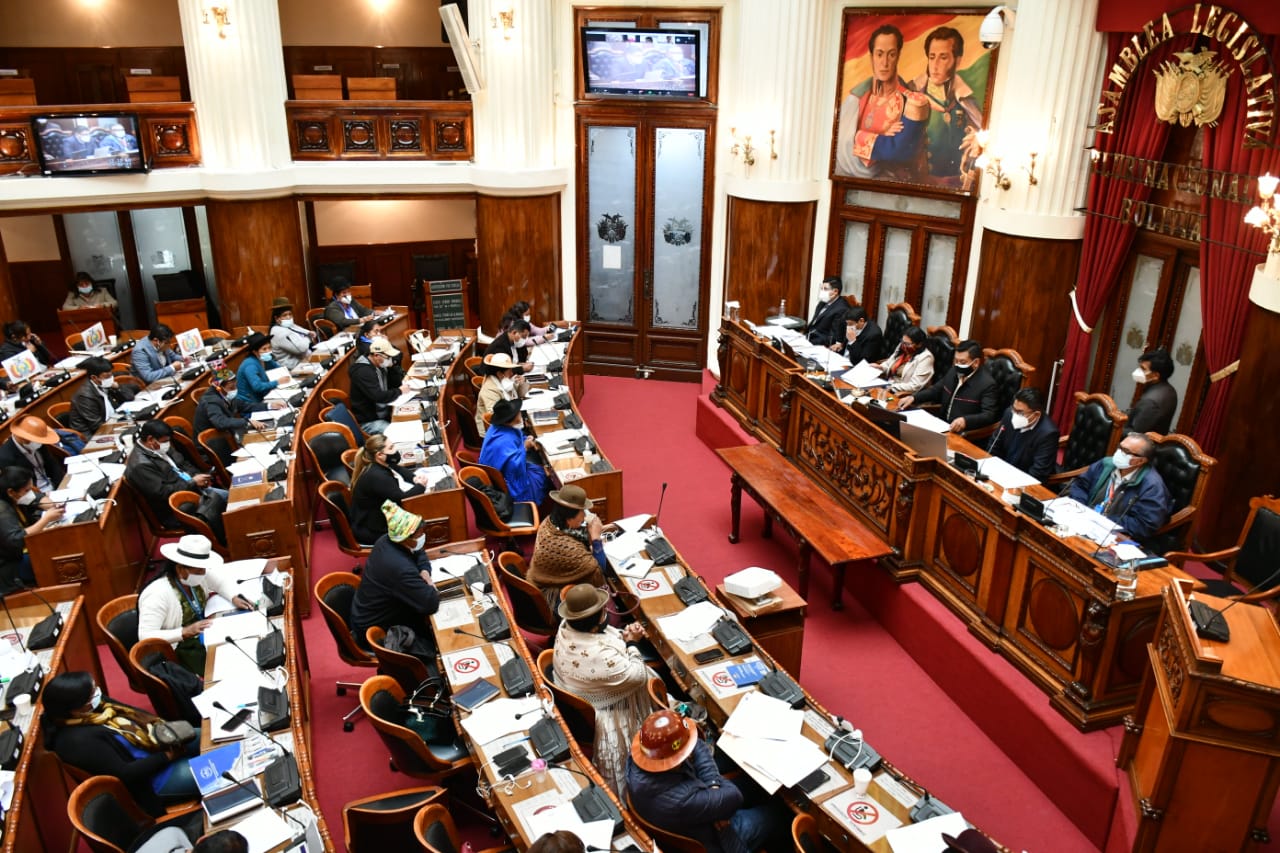 Cámara de Diputados trató 175 leyes en seis meses de gestión