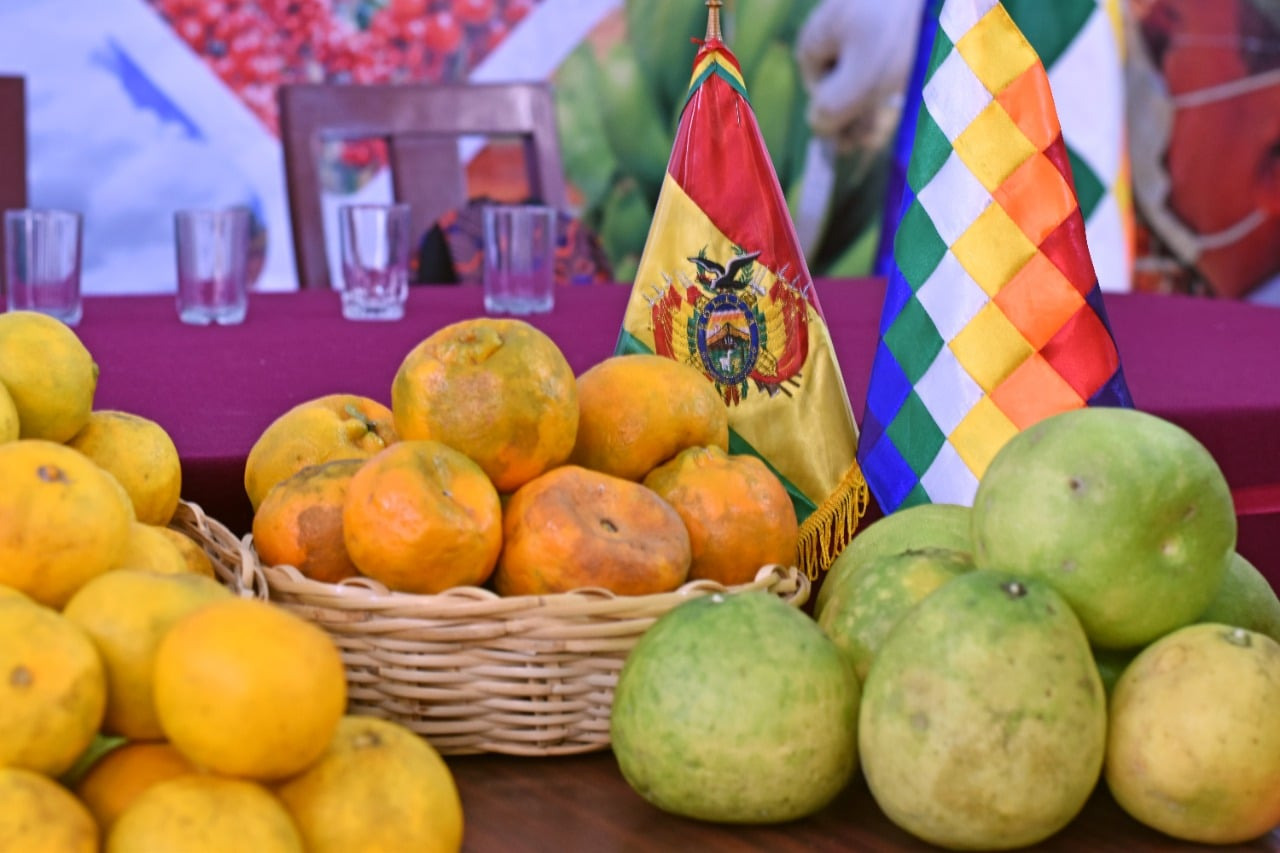 Bolivia celebra el Día Nacional de Protección de los Cítricos libre de HLB