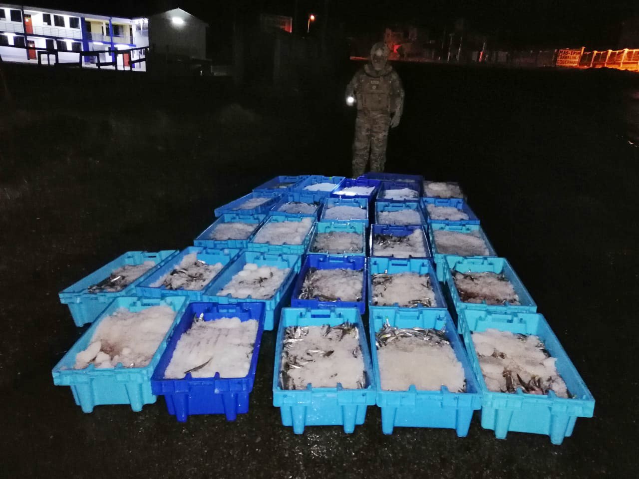 Incautan pescado de contrabando en el Lago Titicaca