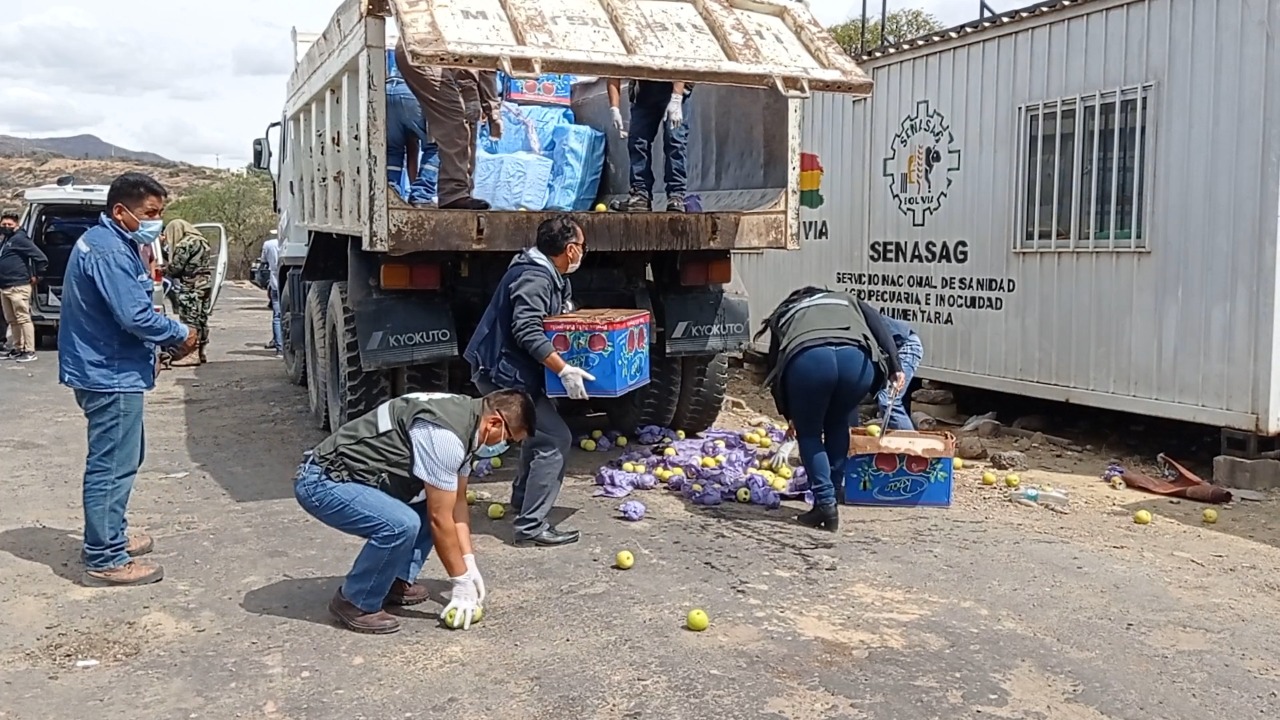 Cochabamba: Senasag destruye dos toneladas de productos sin registro sanitario