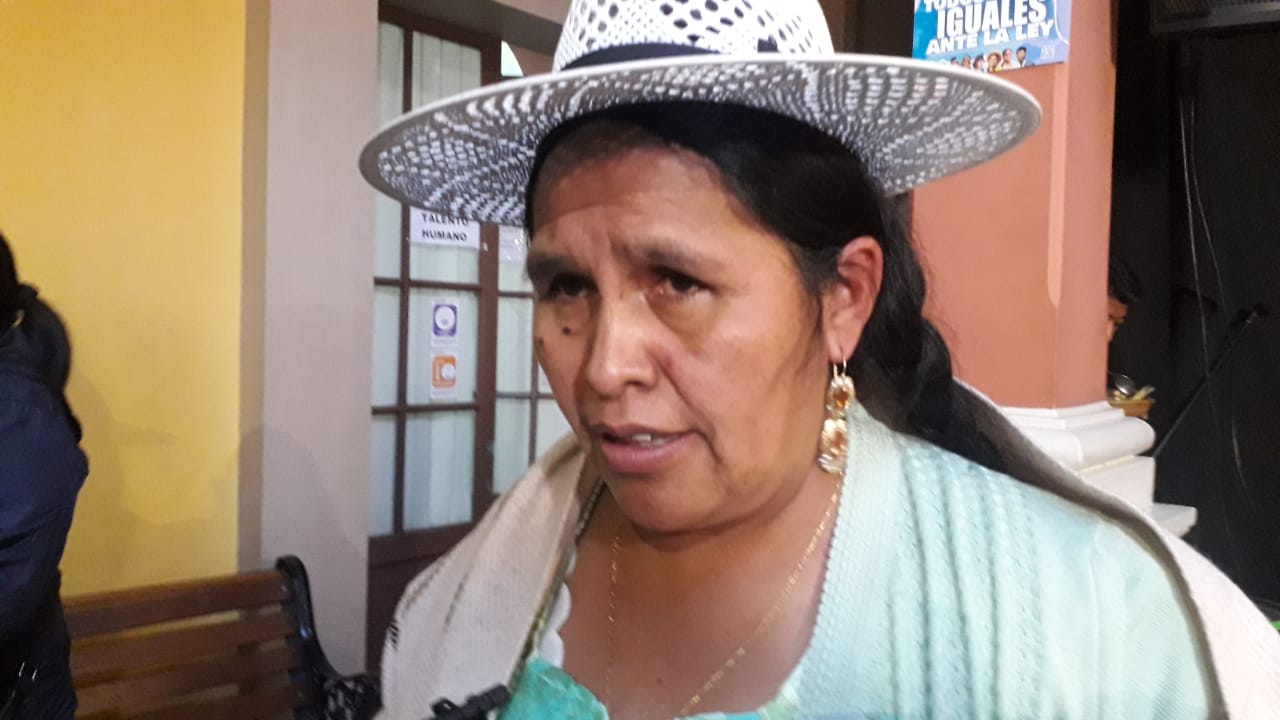 Ministra de Cultura invita a leer la historia del país para conocer la importancia de la wiphala