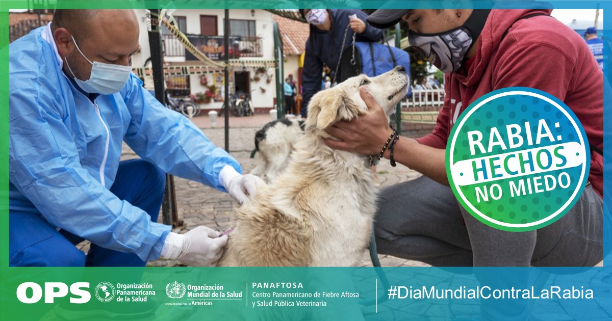 OPS recuerda el “Día Mundial contra la Rabia” e insta a redoblar el compromiso de los países de las Américas