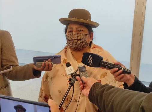 MAS perfila la conformación de directivas, comisiones y comités en Diputados