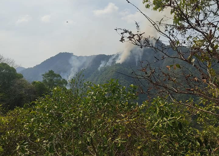 Viceministro Calvimontes descarta que el incendio en Pilón Lajas llegue hasta la reserva del Madidi