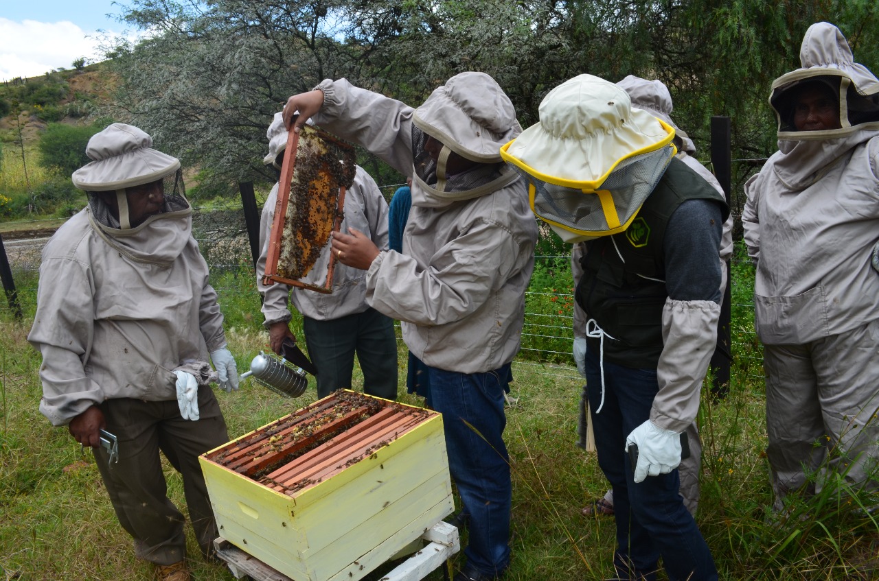 Programa Nacional de Producción Apícola será ejecutado con Bs 315,3 millones de inversión