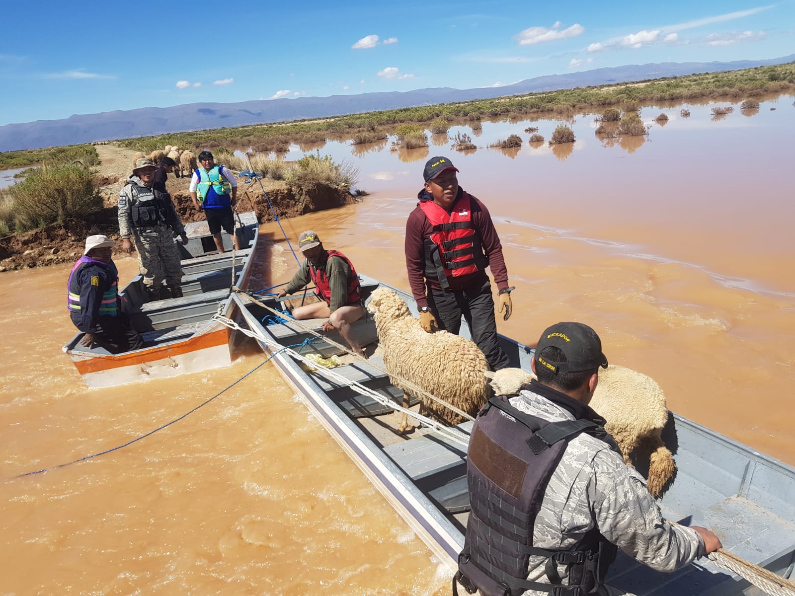 Armada evacúa a ocho personas y 460 cabezas de ganado ovino en cercanías de la comunidad Quisca