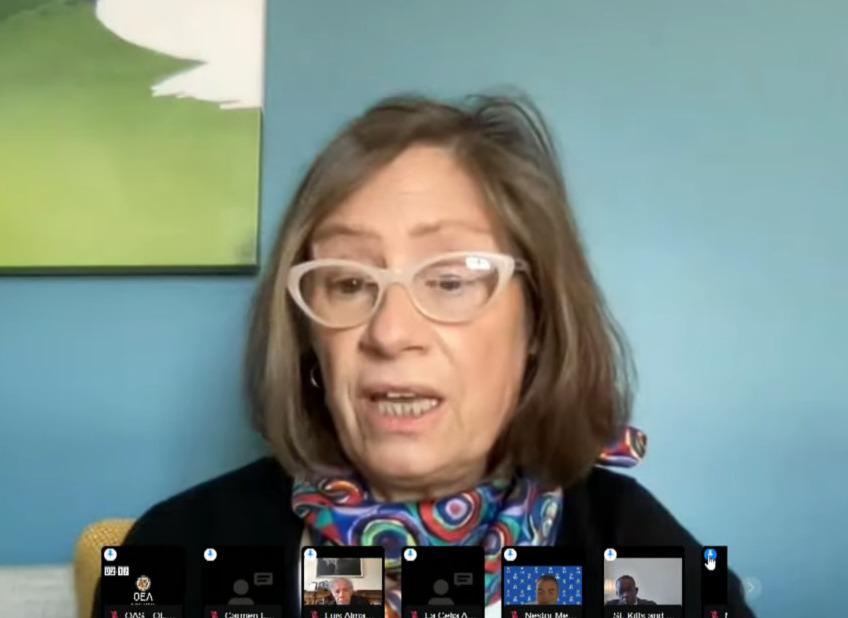 Experta del GIEI en la OEA: Los hechos graves en Bolivia no sucedieron de modo inesperado