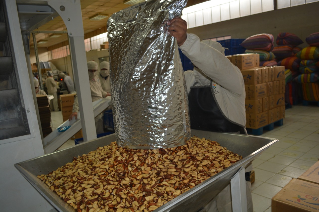 Caneb: Las exportaciones crecieron en 34,2% respecto a la gestión anterior