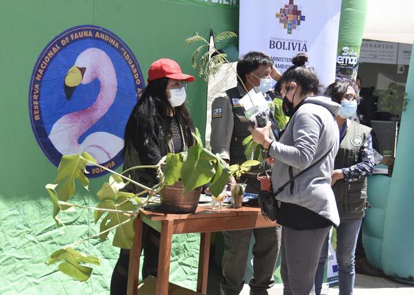 Colegio militar se suma a la campaña de forestación