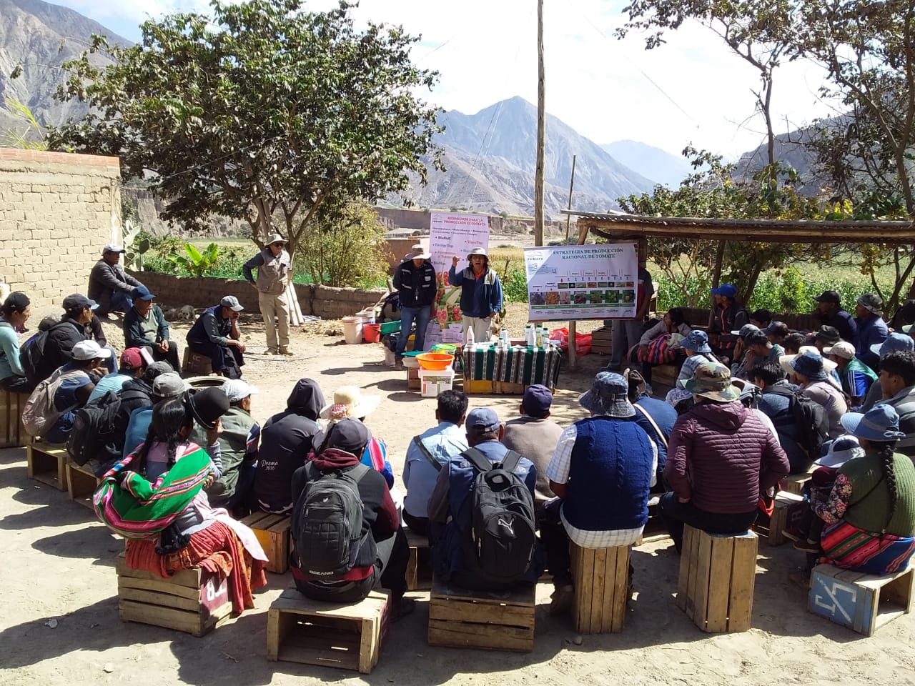 BDP: Productores de valles paceños se capacitan en la producción orgánica de tomate y frutas