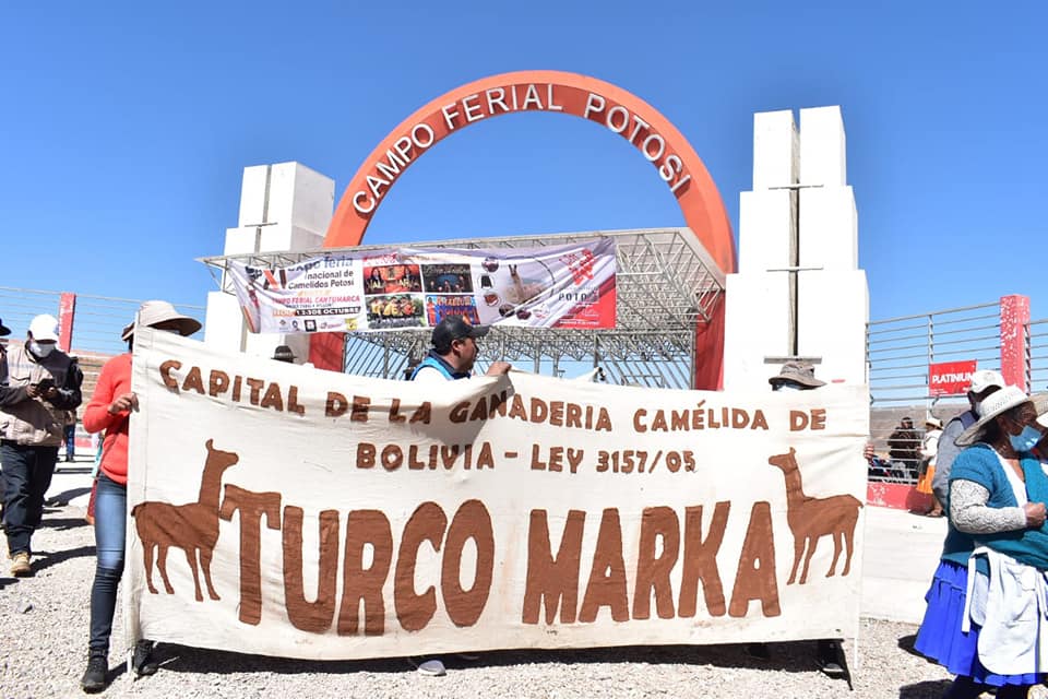 Inauguran XI Expo Feria Nacional de Camélidos en Potosí y Gobierno garantiza recursos para mejorar la producción