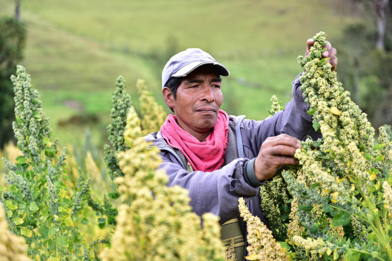 El BDP inyectó Bs 283 millones y asistencia técnica al desarrollo productivo de Oruro