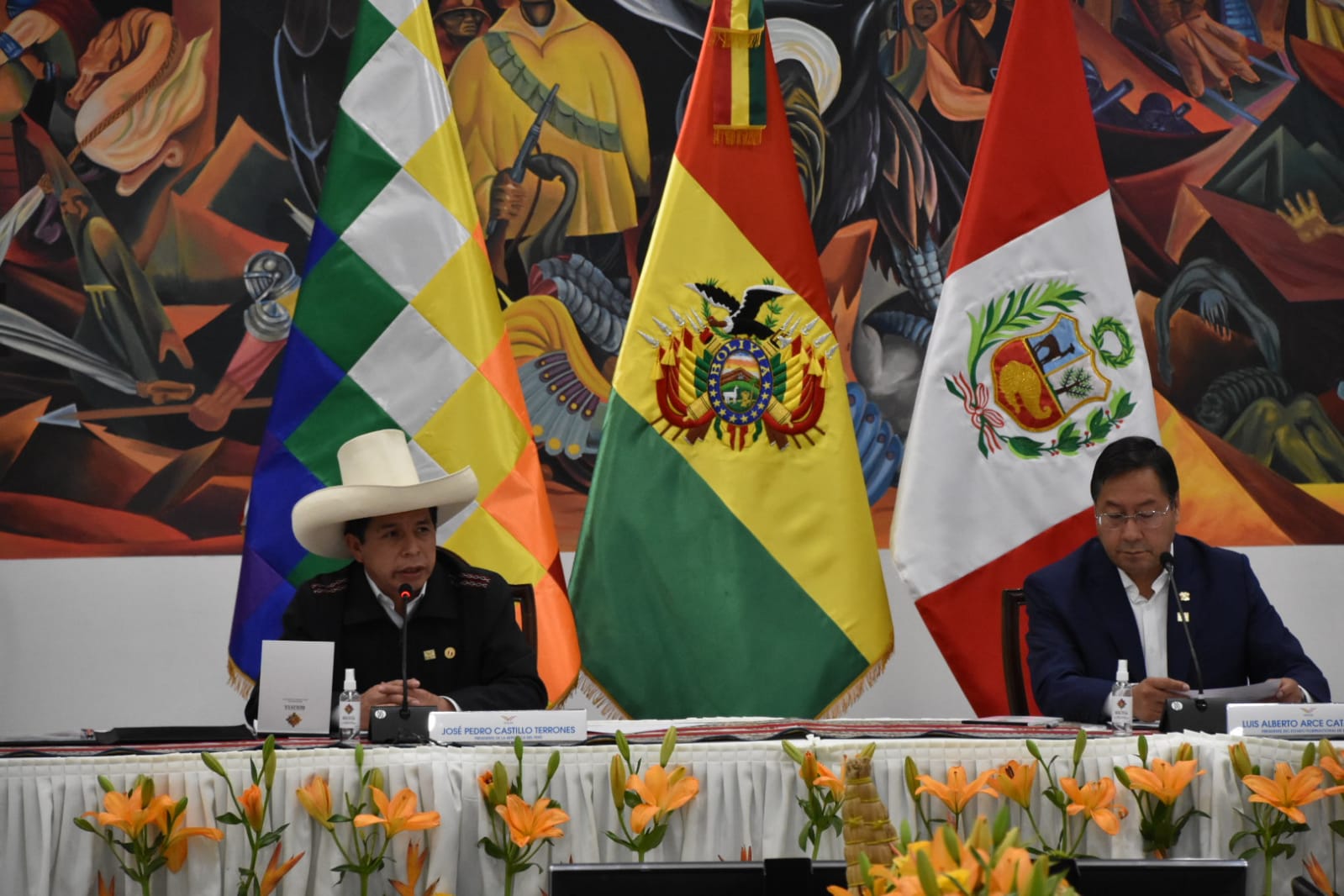 Ministra de la Presidencia califica de productivo al VI Encuentro Binacional Bolivia- Perú