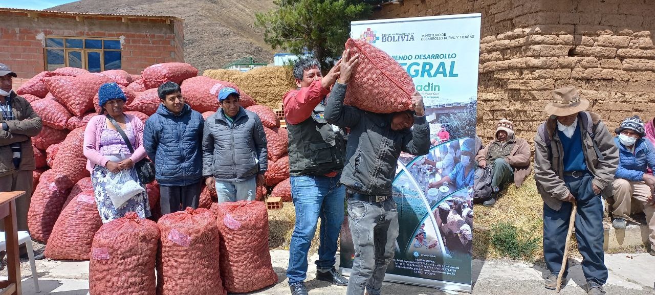 Fonadin promueve la reactivación de productores de papa en el departamento de Cochabamba