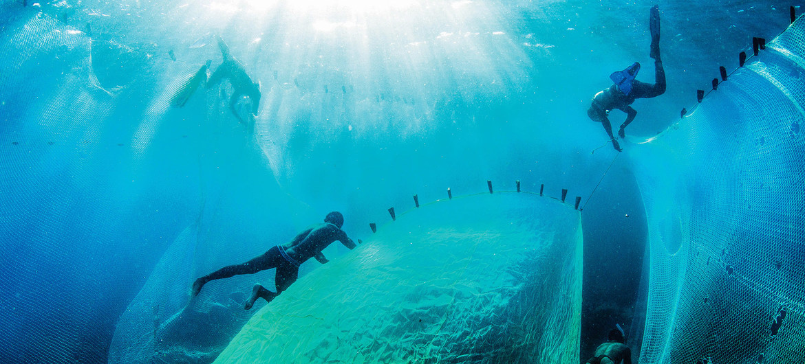 Iniciativa mundial busca limpiar los océanos de los deshechos plásticos y otras sustancias dañinas