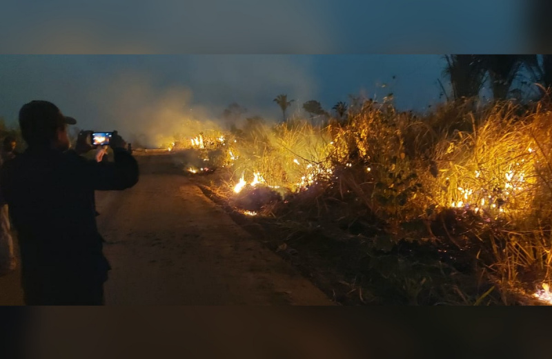 Impulsan procesos legales por incendios forestales y analizan endurecer las sanciones