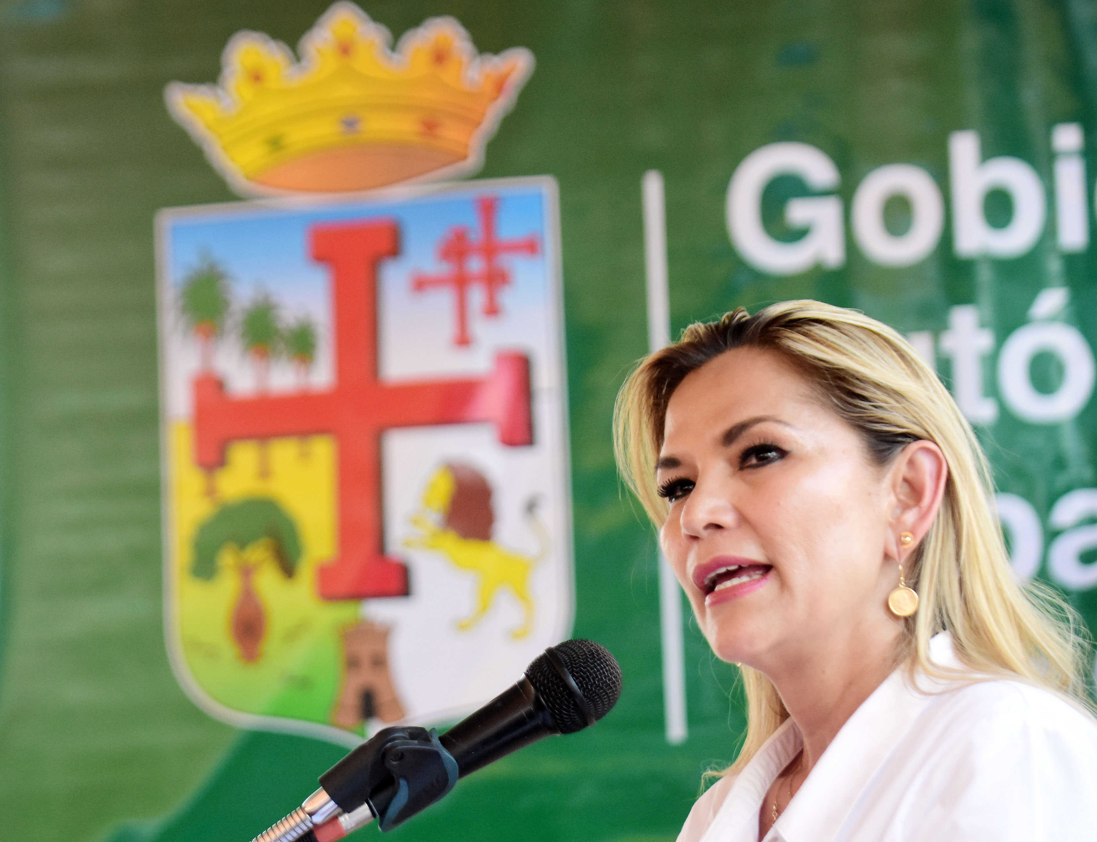 Asamblea de DDHH alerta que se gesta un plan de fuga de Jeanine Áñez con apoyo de una embajada