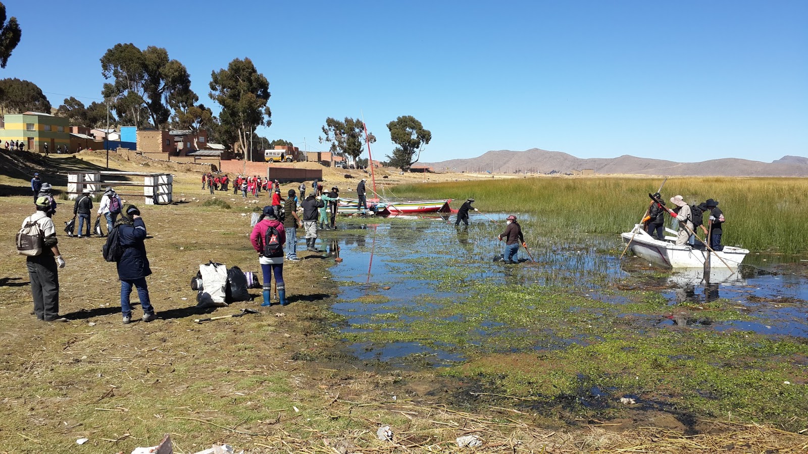 Campaña: Más de 1.000 personas limpiarán el lago Titicaca y sus alrededores