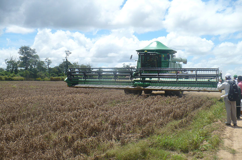 INRA: La estructura de la tenencia de tierra está equilibrada en Santa Cruz