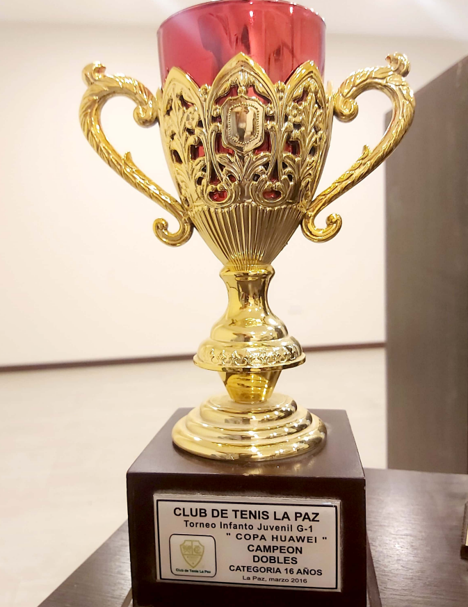 Alejandro Arraya Avila