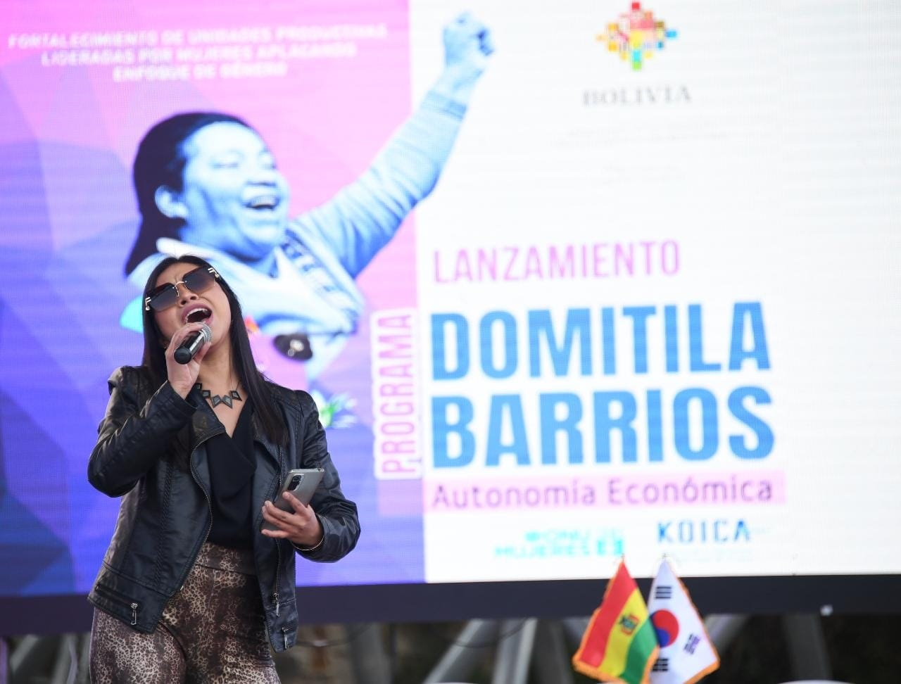 Fortalecimiento del programa 