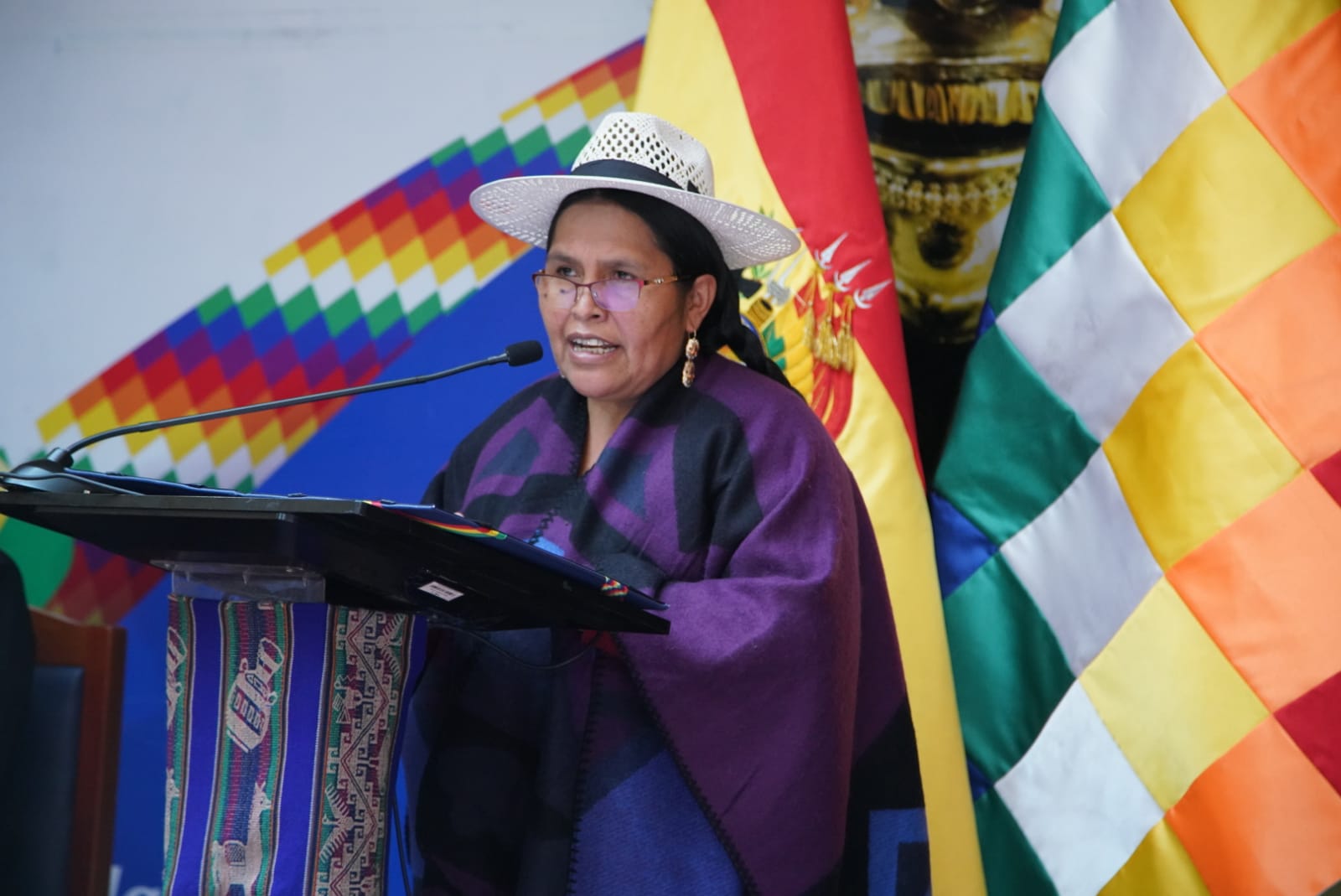 Lanzamiento de convocatoria para audiciones del Elenco Plurinacional de Danzas y Orquesta Plurinacional de Charangos y Guitarras por el Ministerio de Culturas, Descolonización y Despatriarcalización.