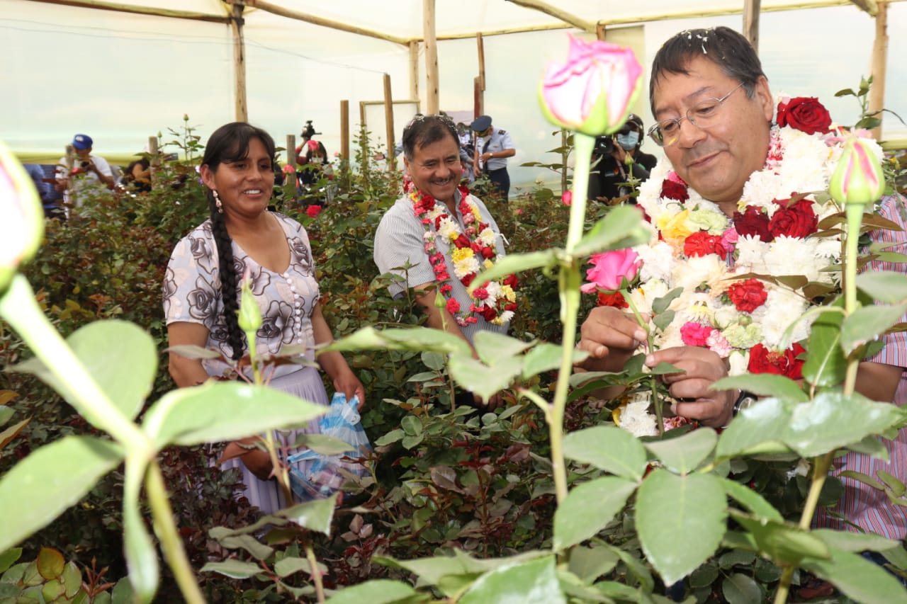 El presidente Luis Arce Catacora, inaugura invernaderos con riego tecnificado en Quillacollo, Cochabamba.