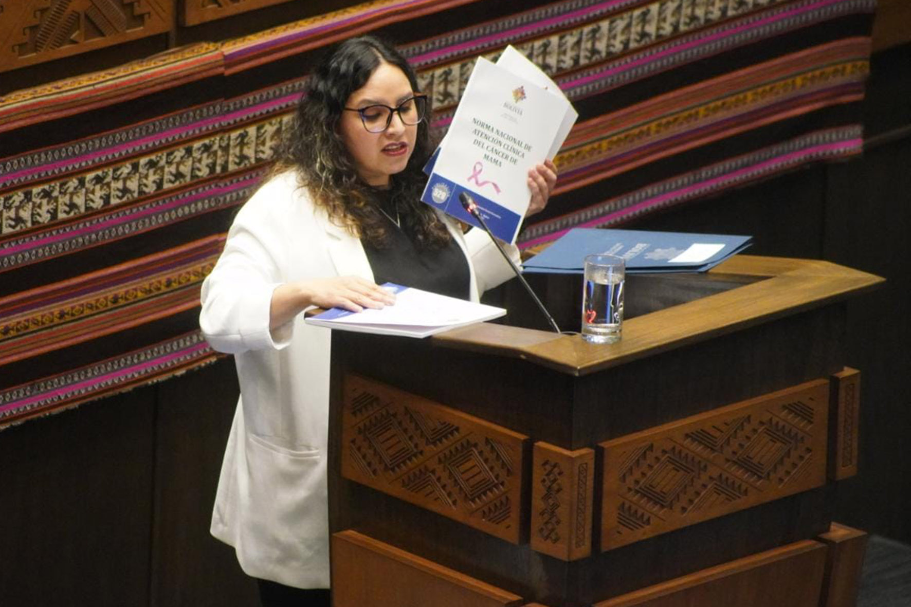 Interpelación a la Ministra de Salud María Renée Castro, sobre la reglamentación de la Ley N°1223 