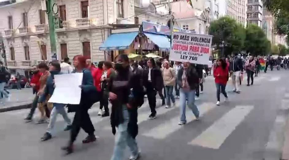 Legisladores anuncian proyectos de ley con sanciones “más drásticas” contra el maltrato animal