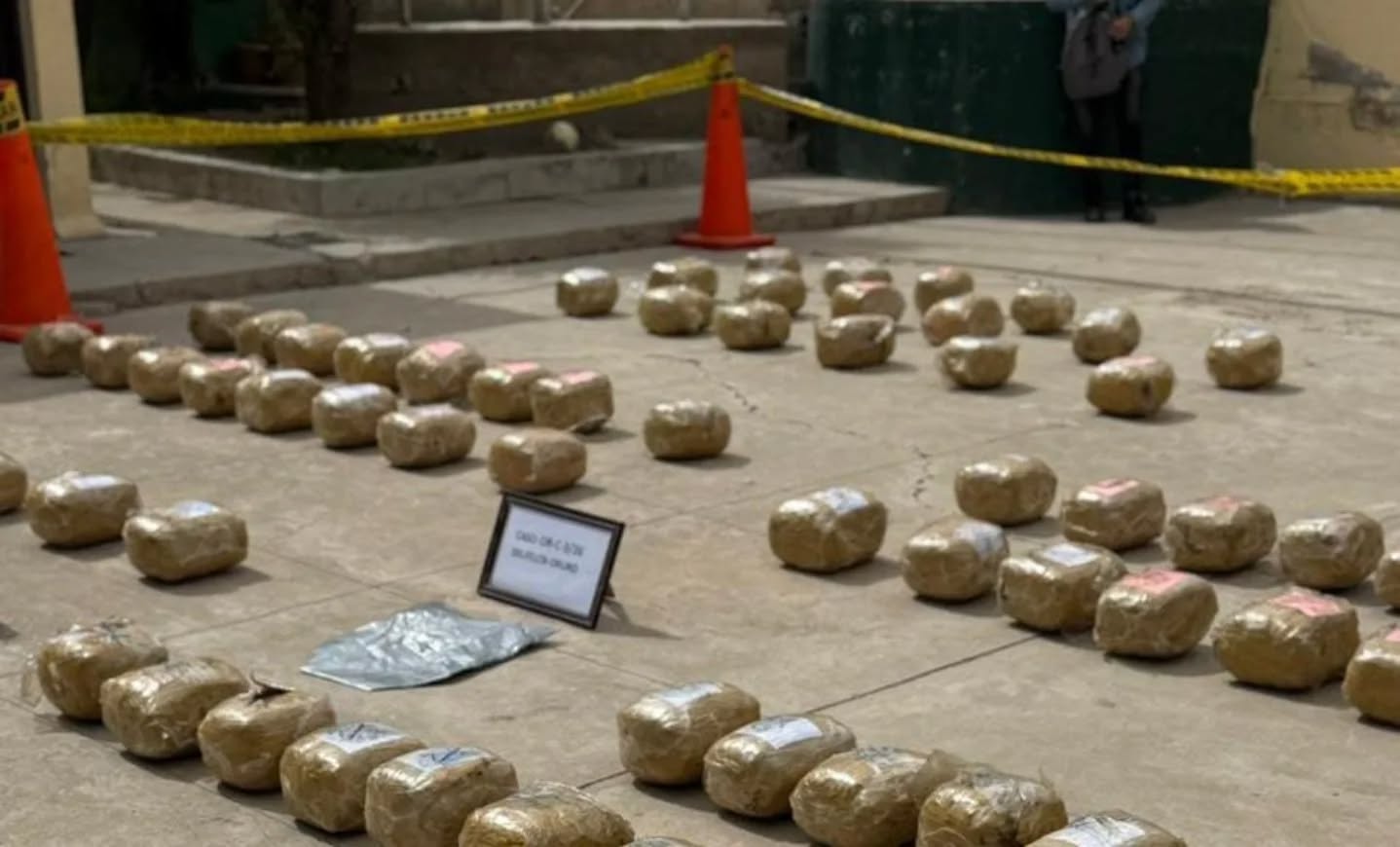 Se encontró un total de 219 kilos con 300 gramos de marihuana. Foto: FGE