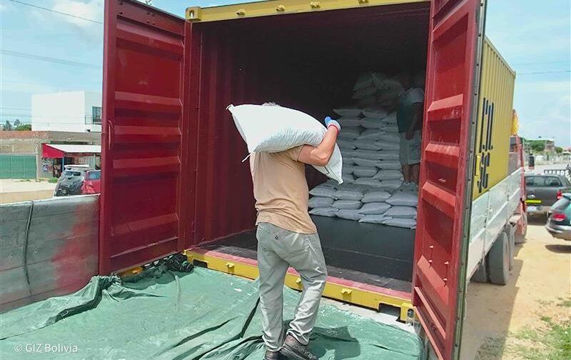 El maní orgánico boliviano exportado cuenta con certificación bajo las normativas de la Unión Europea.