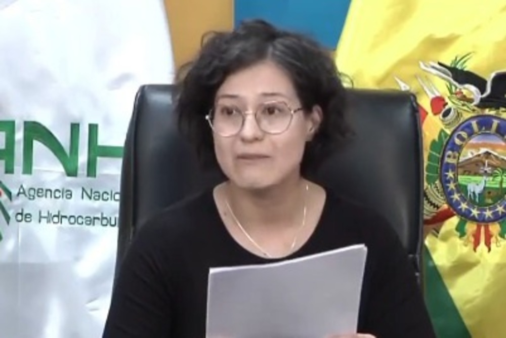 La directora de la ANH, Margot Ayala, en conferencia de prensa. Imagen: Captura.