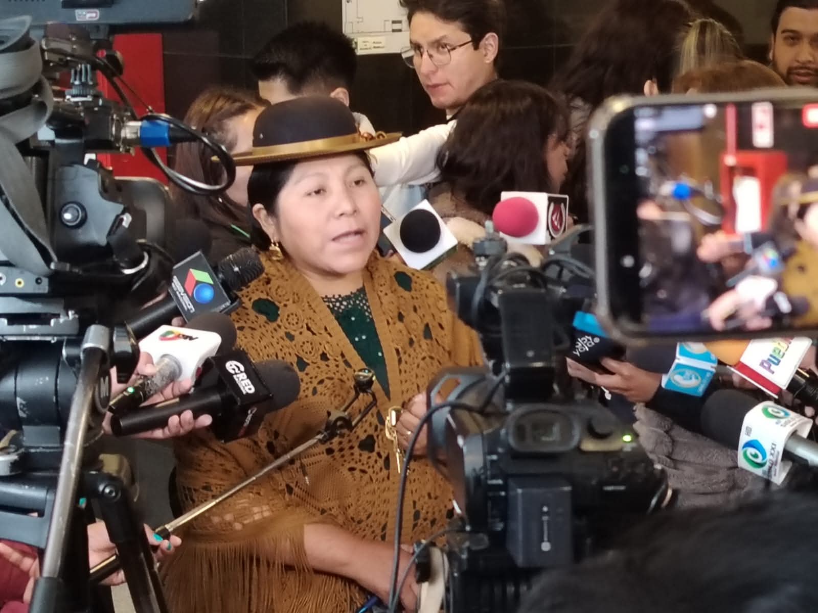 La diputada Sonia Siñani. Foto: Diputados