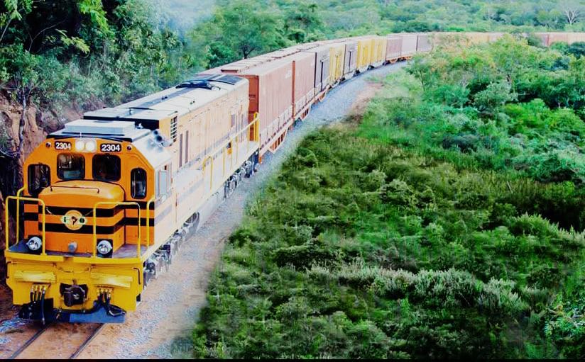 El ferrobús tiene una capacidad para 42 personas. Foto: MOPSV.