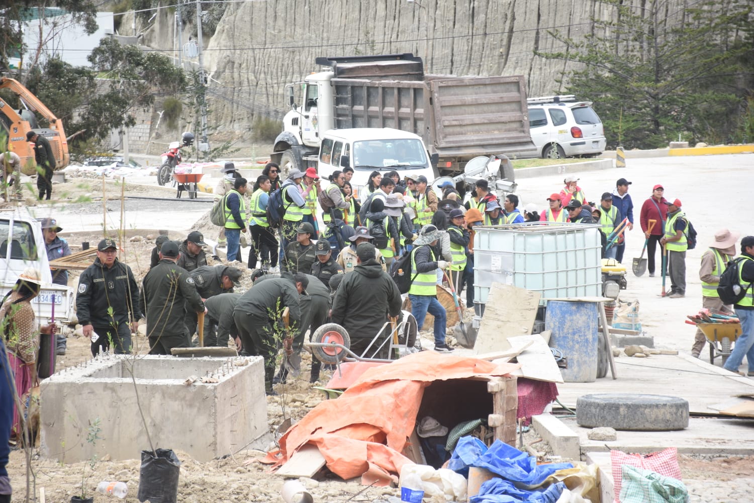 Plantación de plantines en la avenida La Paz. Foto: GAMLP.