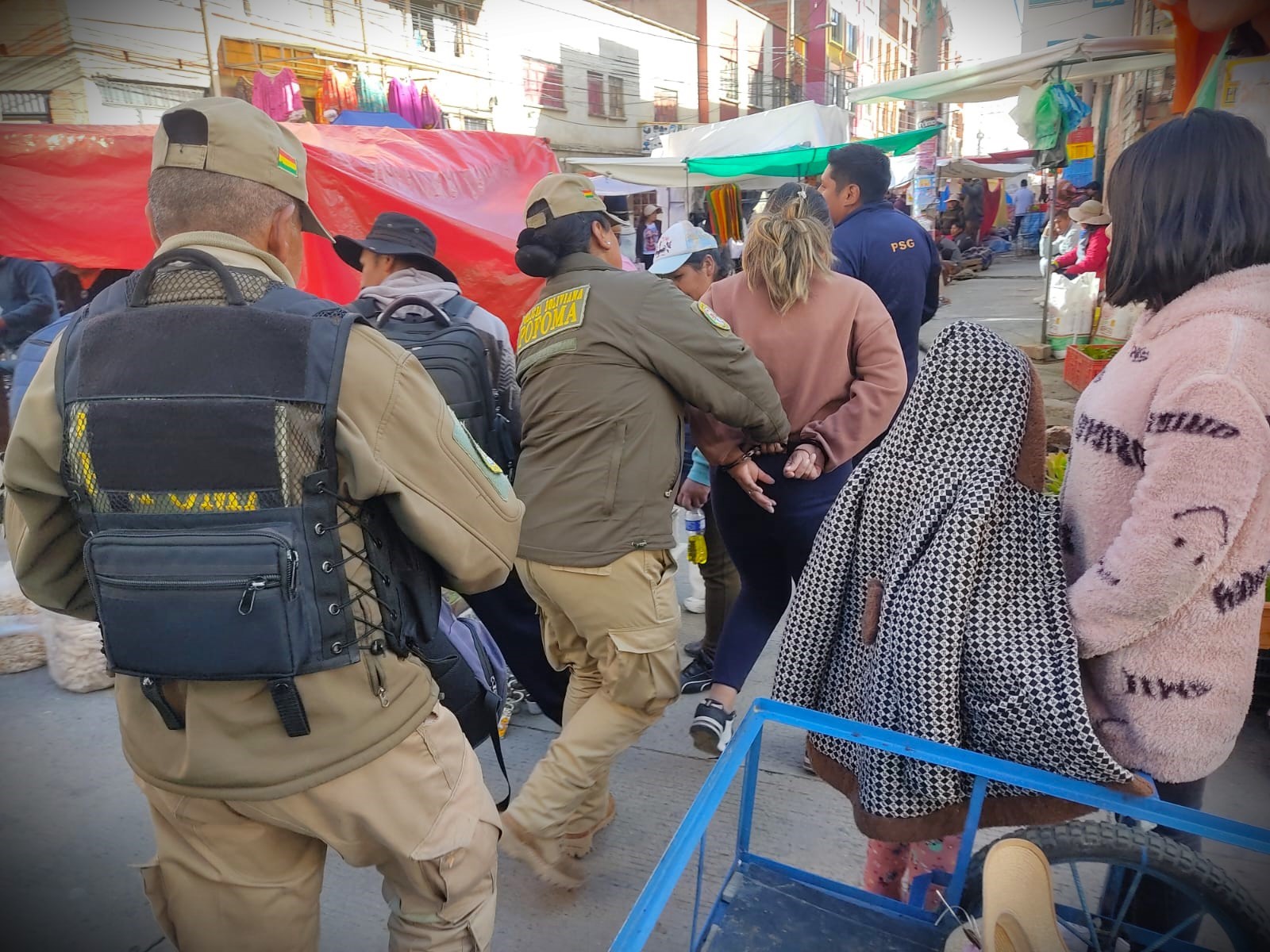 Trabajo de Pofoma contra la tenencia, portación y comercialización de partes o derivados de animales silvestres. Foto: Policía Boliviana.
