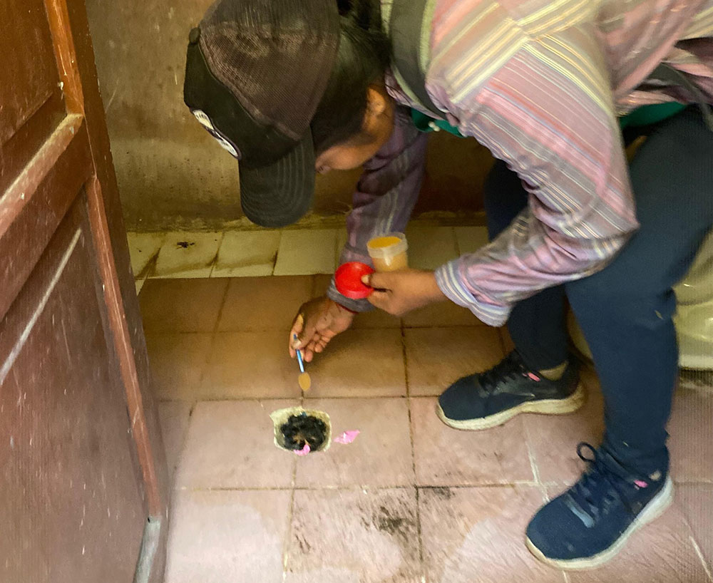 Campaña de eliminación de criaderos de mosquitos en Bermejo. Foto: Alcaldía de Bermejo