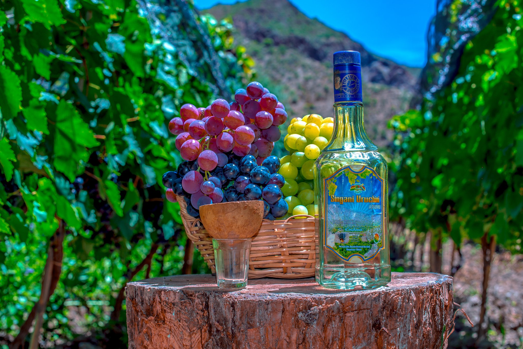 Foto: Gobierno Autónomo Municipal de San Lucas.