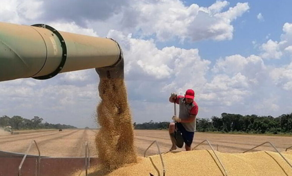 Imagen referencial de la producción de soya. Foto: internet