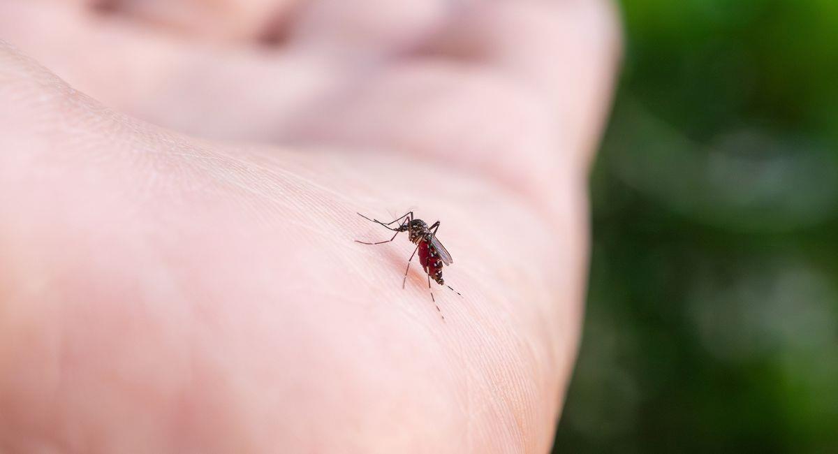 En siete departamentos del país ya circula el virus de la chikungunya.
