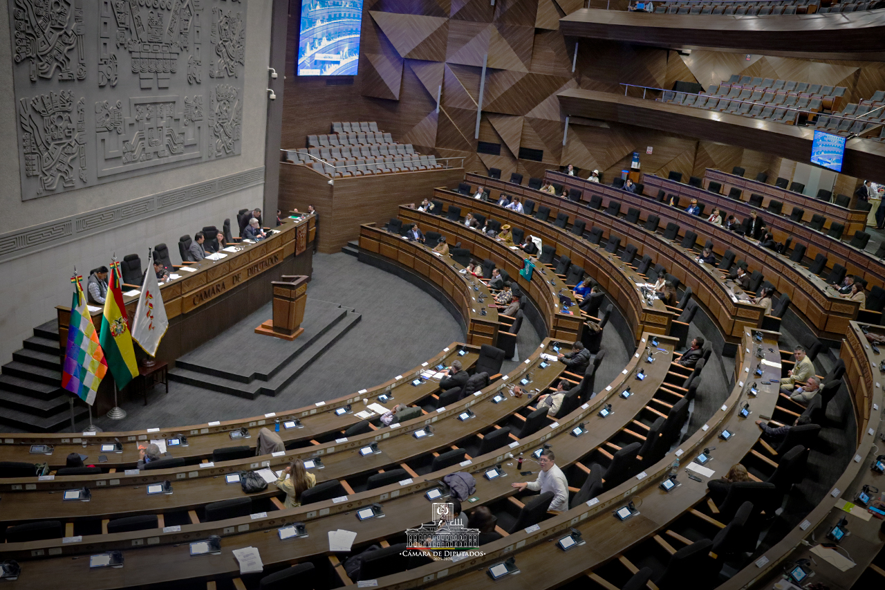 Sesión de Diputados. Foto: Cámara de Diputados