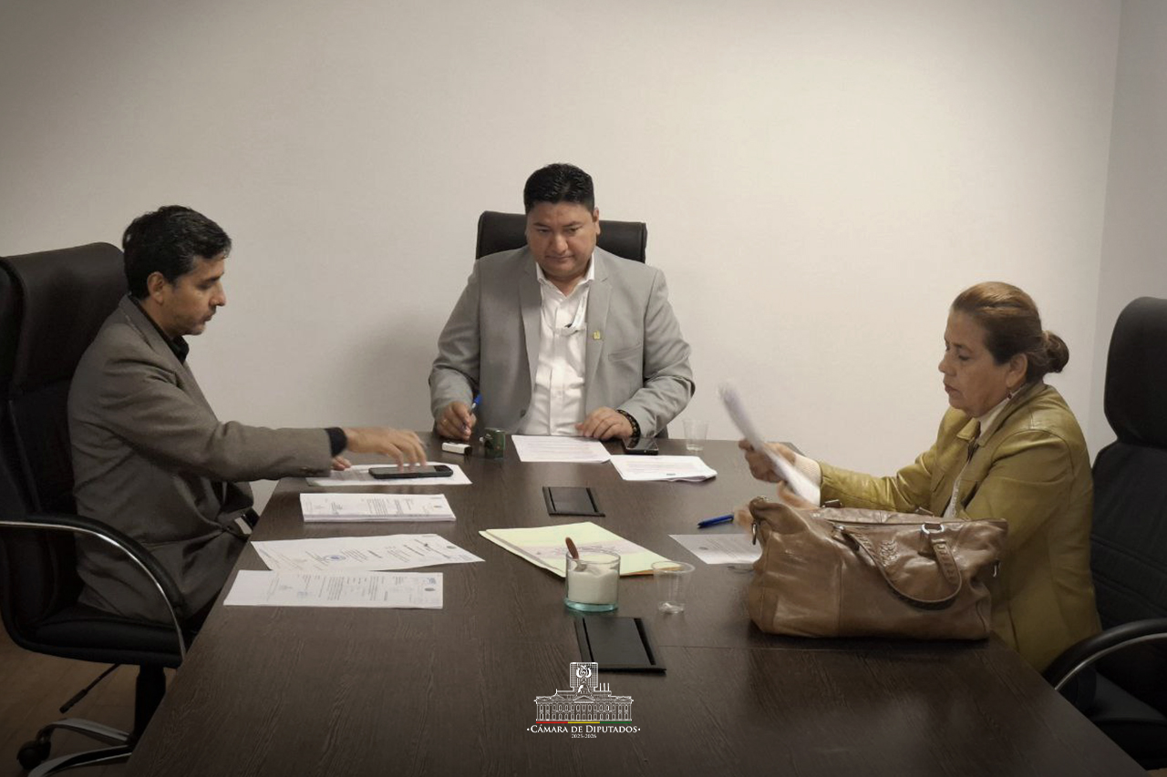 Sesión del Comité de Recursos Naturales, Hídricos y Agua. Foto: Cámara de Diputados